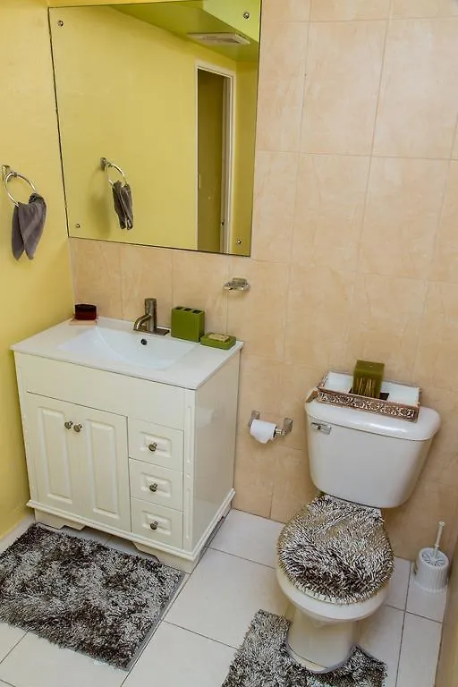 *** 公寓式酒店 Sky View Guest Apartments Irish Town 牙买加