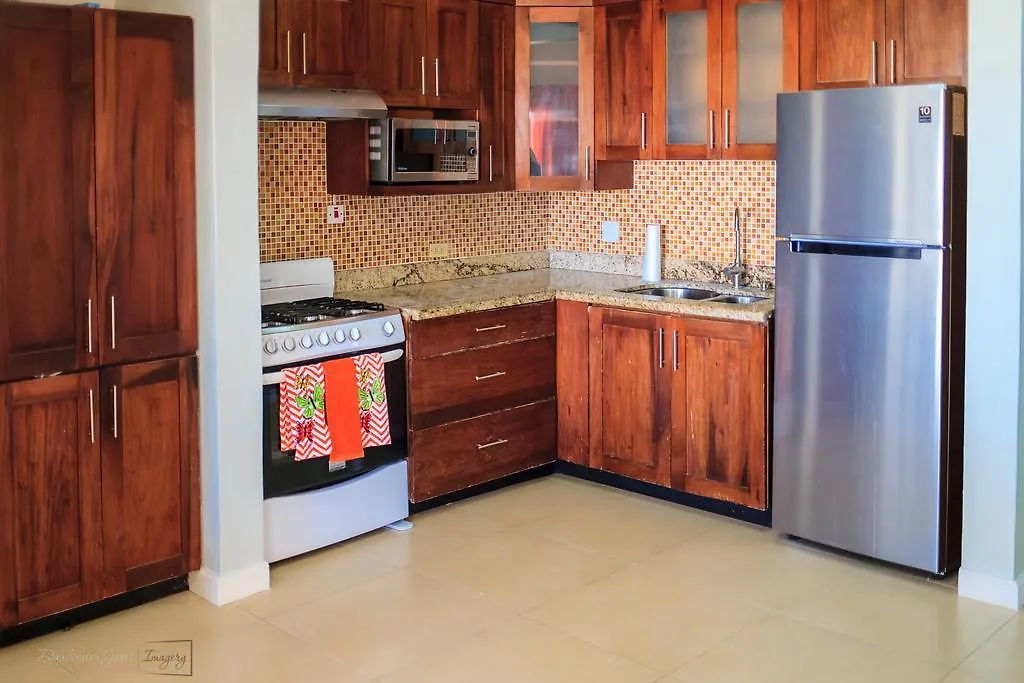 Sky View Guest Apartments Irish Town 牙买加