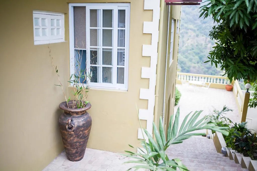 *** 公寓式酒店 Sky View Guest Apartments Irish Town 牙买加